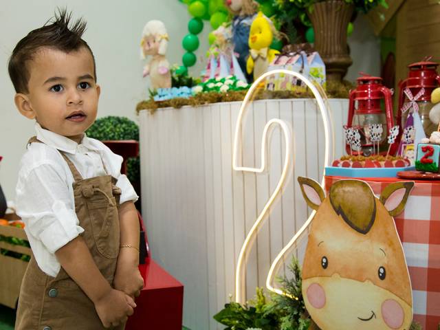 Aniversário infantil de Gael 2 anos