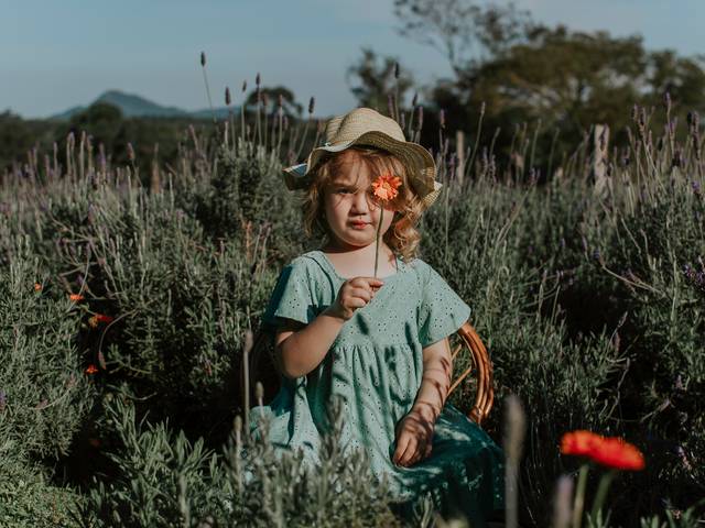 Infantil de Sofia 4 anos