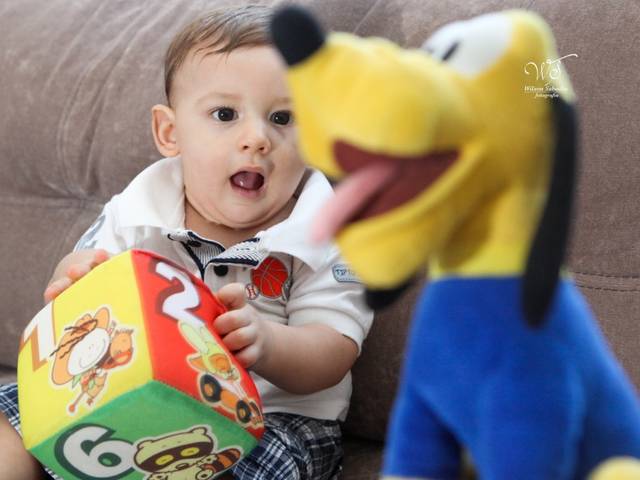 Infantil de Davi (da gravidez ao 1. ano)