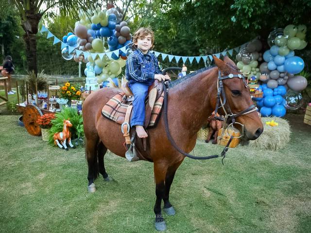 Festa Infantil de Festa Fazendinha dos 5 anos do Heitor