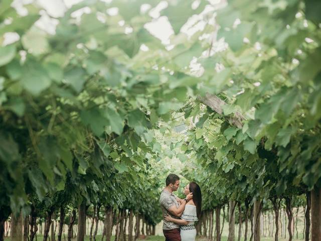 ENSAIO CASAL de FOTOS CASAL LARA + VINÍCIUS VINÍCOLA LOUVEIRA PRÉ WEDDING