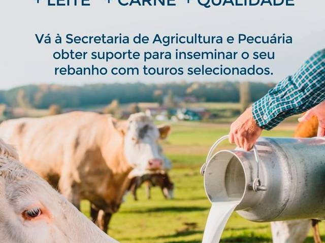 Obras e Infraestrutura de Ações da Secretaria de Agricultura
