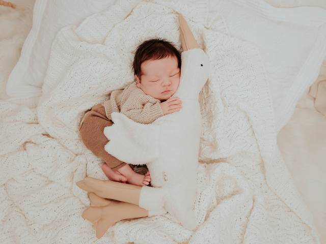 Newborn de NEWBORN - ICARO 