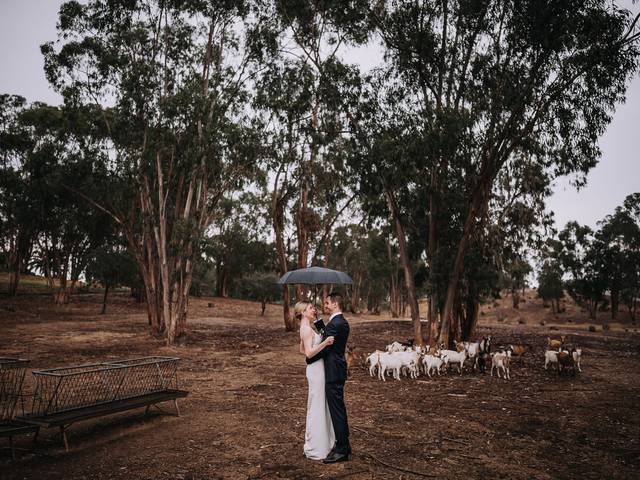 Weddings of Katie // Ricardo - Destination Wedding