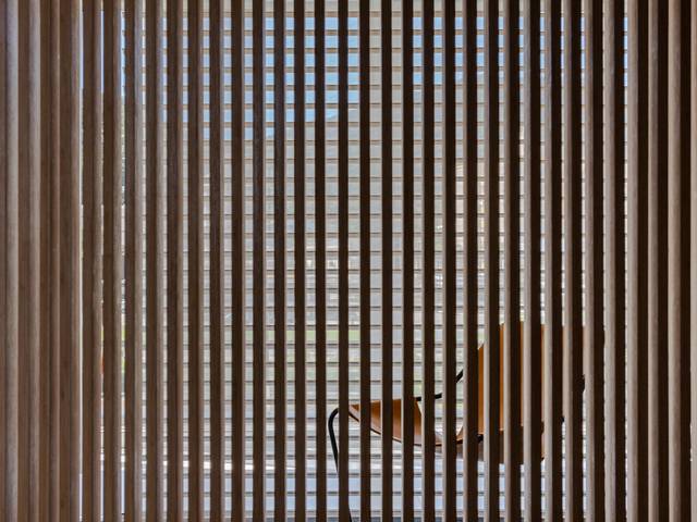 Projetos de Arte de Paulistano - a poltrona de Paulo Mendes da Rocha