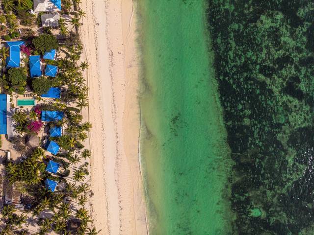 Hoteis na praia  de Fotografias do Indigo Beach Zanzibar 