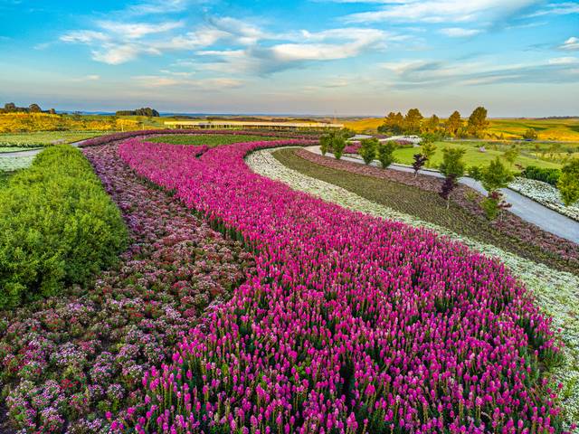 Parques Temáticos  de Matria Parque de Flores, o maior parque de flores da América latina. 