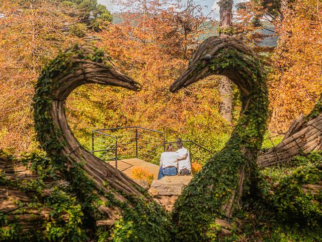 Parques Temáticos  de Garden park no Outono 