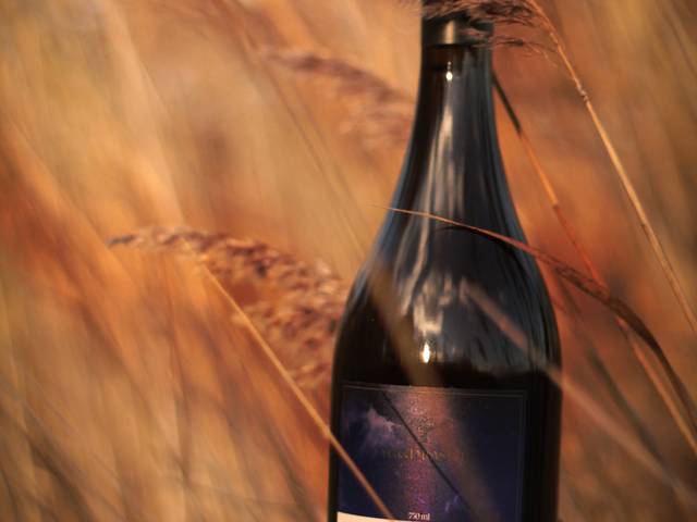 Foto Still ao Ar Livre de Ensaio para marca Yggdrasill