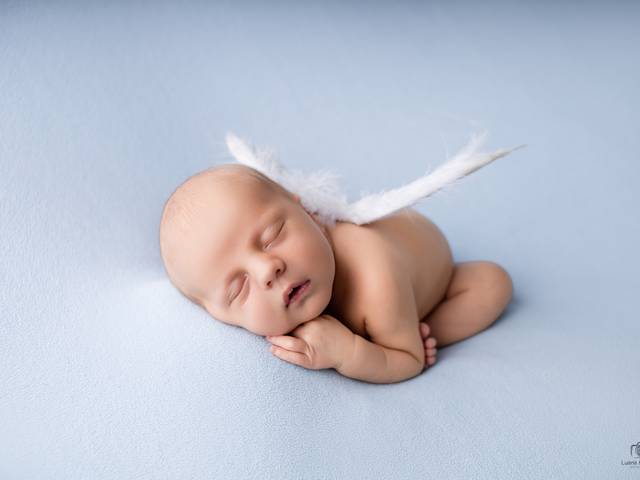 Newborn de Ensaio Newborn Antônio 11 dias