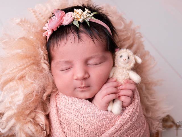 Newborn de Ensaio Newborn Isabella 