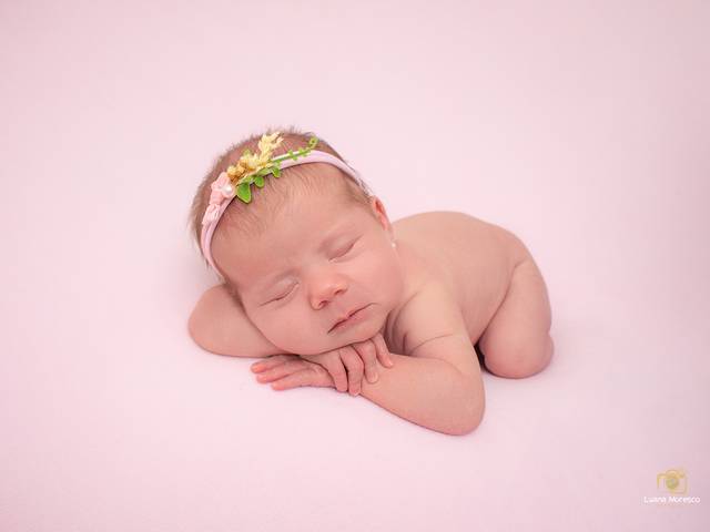 Newborn de Ensaio Newborn Antonella