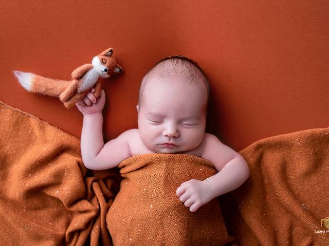 Newborn de Ensaio Newborn Théo