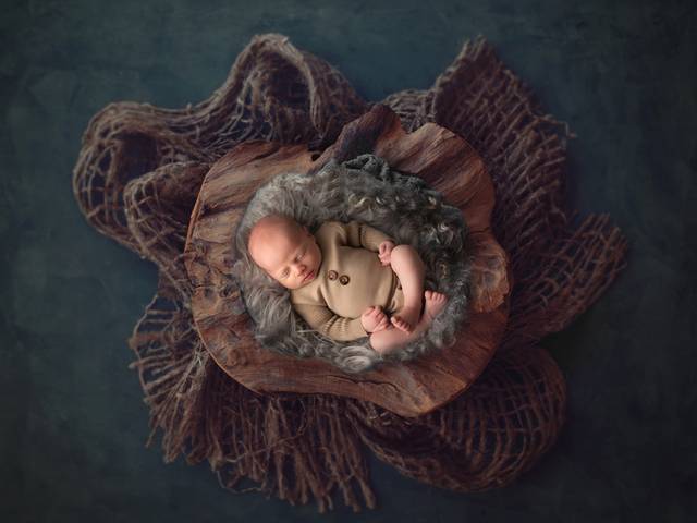 Newborn de Ensaio Newborn do Maksim
