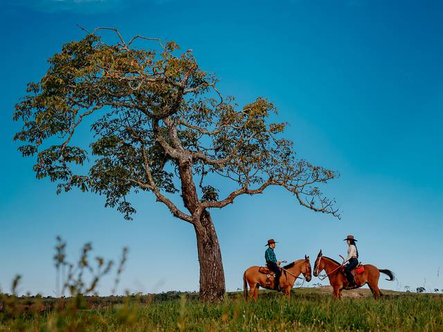 Ensaios de LARISSA E FERNANDO