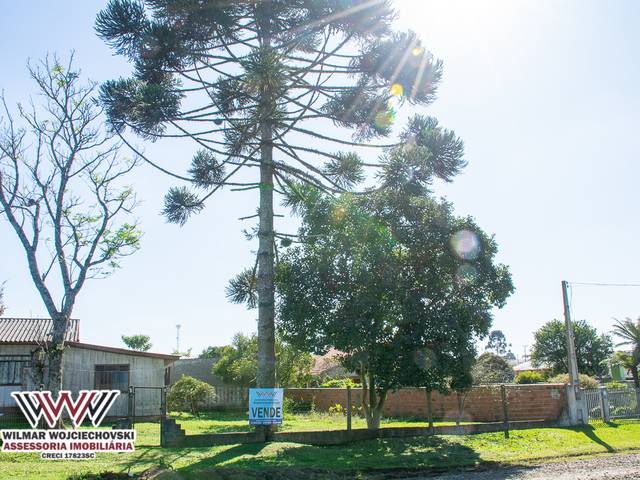 Papanduva de Terreno Urbano