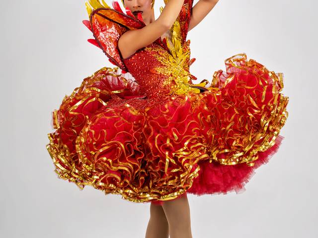 Artistas de Jaciele Silva