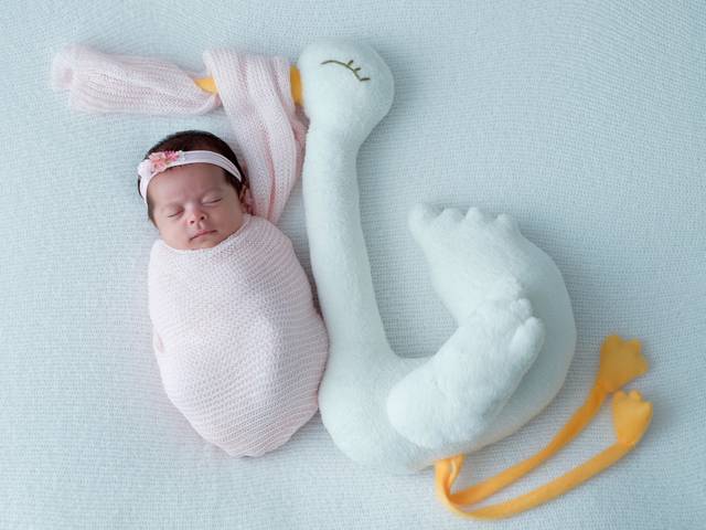 Acompanhamento do Bebê de Olívia