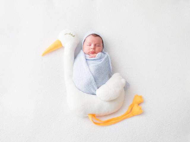 Acompanhamento do Bebê de Vinícius