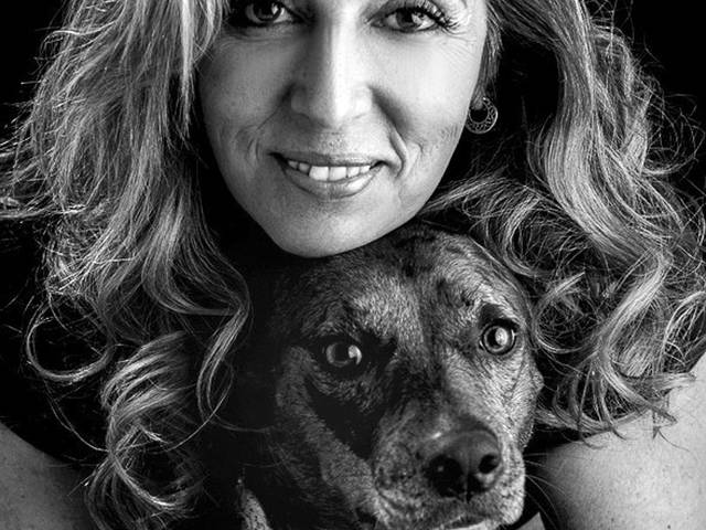 ENSAIO de Ensaio pet