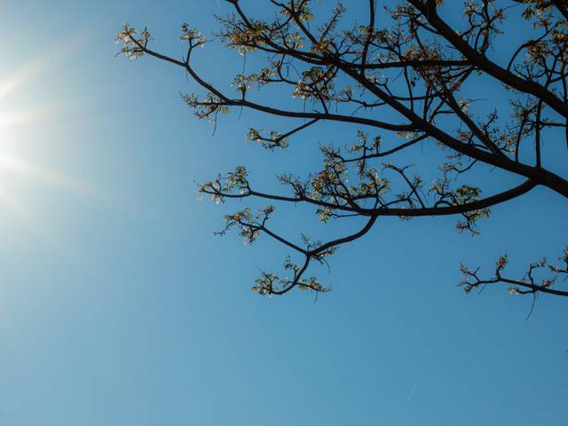 Fotos de paisagem de Fotografia da Natureza