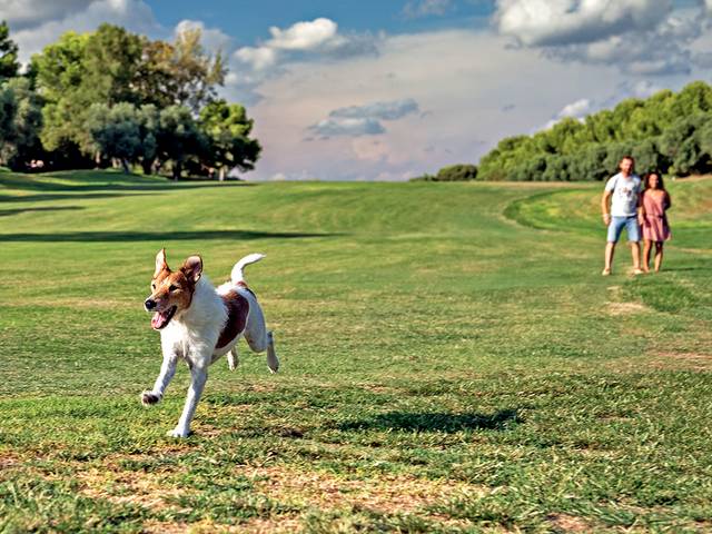 Reportaje mascota de Reportaje de fotos de Lucky