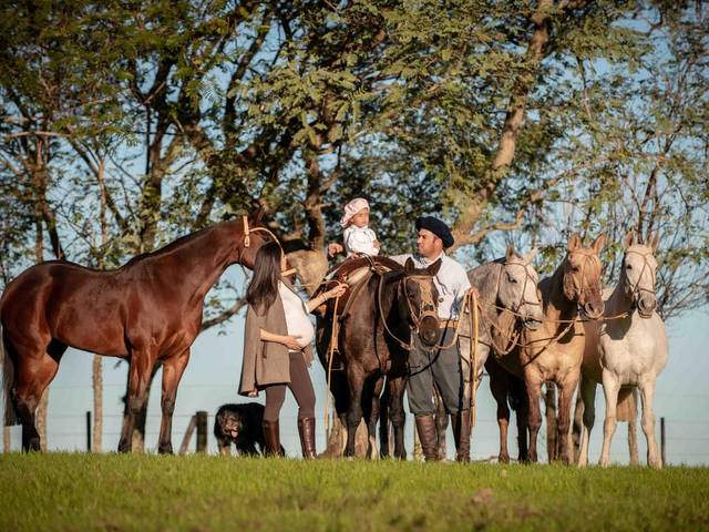 Gestante de Ensaio de Gestante da Maria Paula
