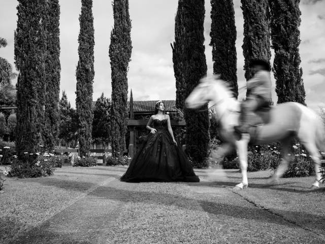 15 anos de Ensaio Editorial 15 anos - Villa Dei Nonni