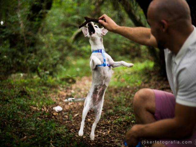 Ensaio de Casal de Lívia e Hícaro (Luara, e as Pizzas)