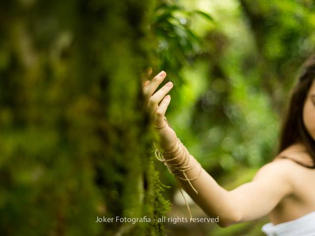 Arte & Publicidade de Dríades