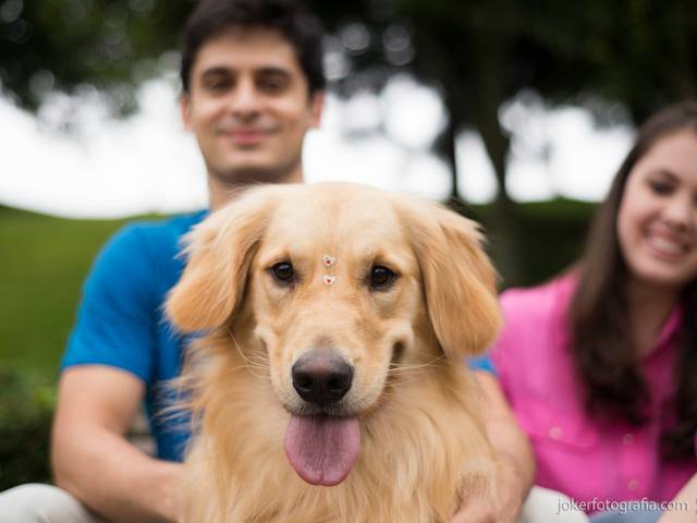 Ensaio de Casal de Maria Isabel e Daniel (e Luna!)