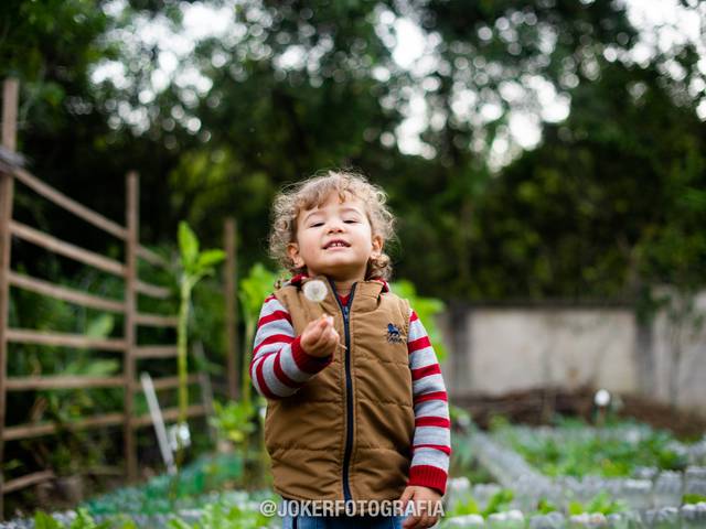 Gestante & Família de Mini Fazenda do Kauê
