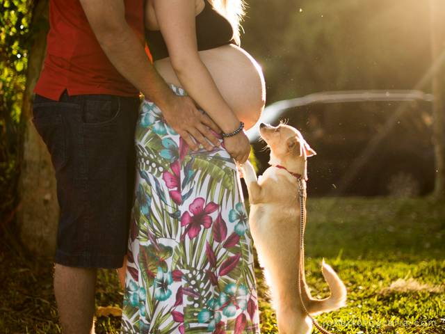 Gestante & Família de Adry e Guga - à espera de Thomas