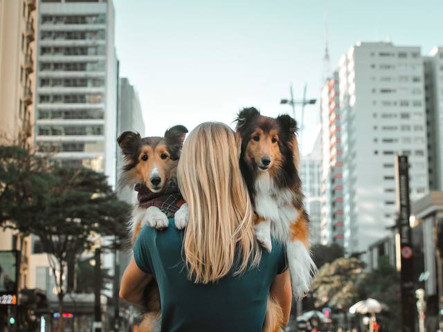 Ensaio Pet Família de AURORA & EVE