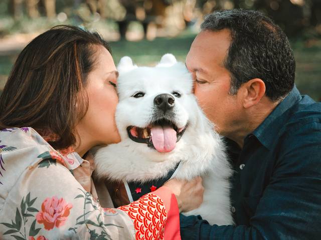 Ensaio Pet Família de THOR