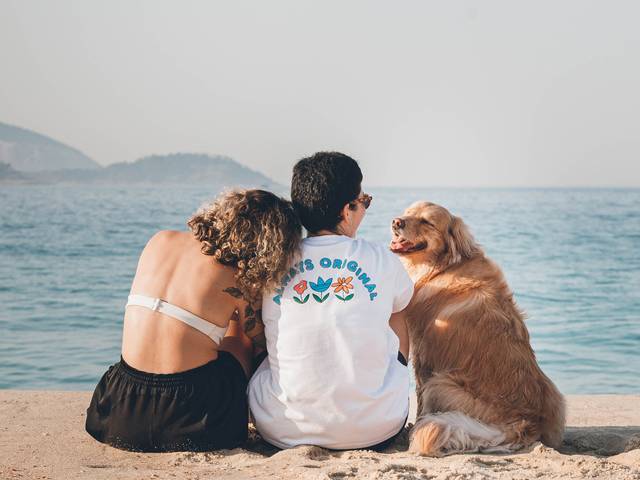 Ensaio Pet Família de Sofia