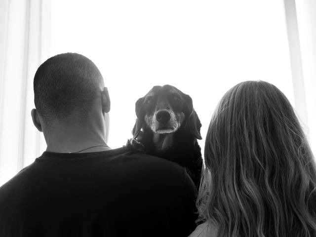 Ensaio Pet Família de Snipe