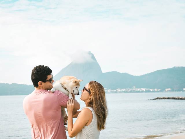 Ensaio Pet Externo de REIKI