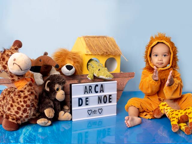 Acompanhamento de Arca de Noé