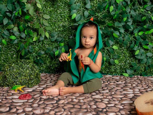 Acompanhamento de Dinossauro