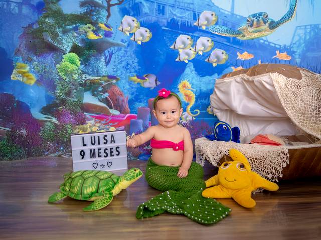 Acompanhamento de Sereia