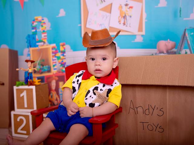 Acompanhamento de Toy Story