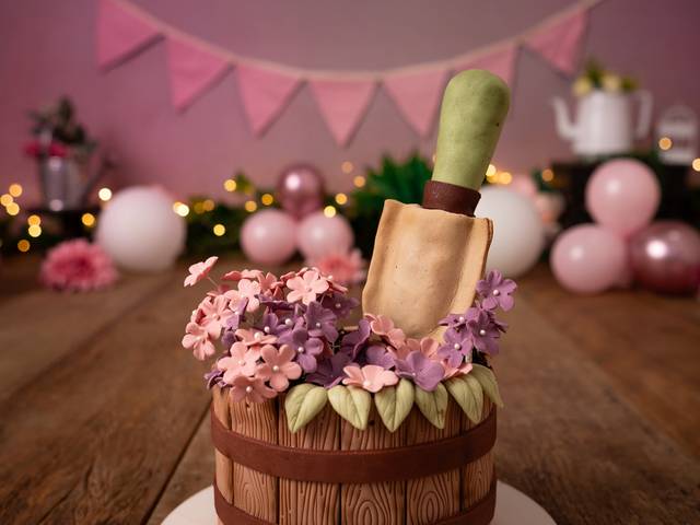 SMASH CAKE  de Cecília Comini