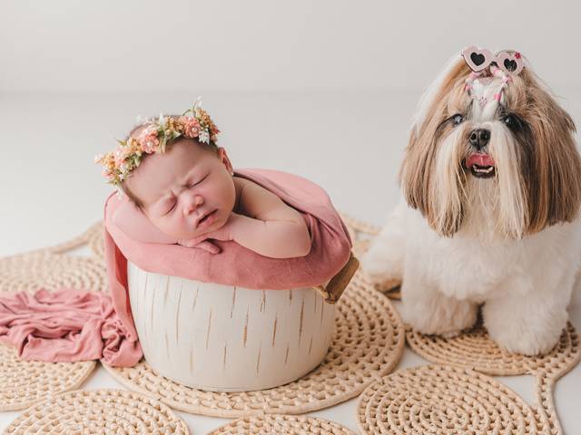 Newborn de Luiza - 8 dias