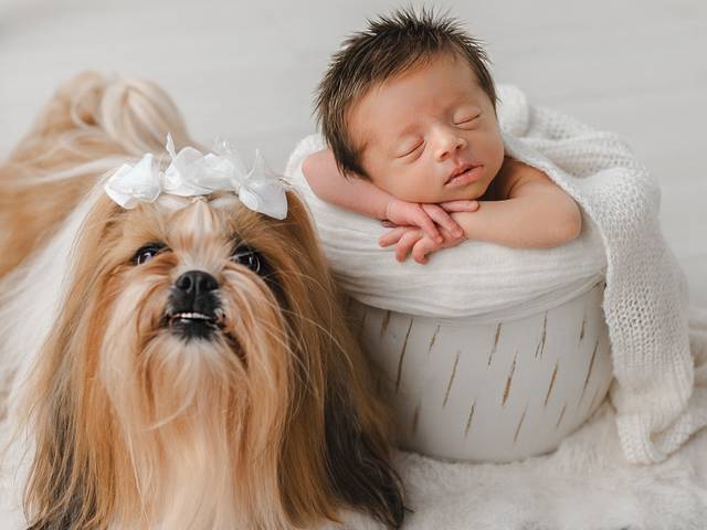 Newborn de Lorenzo - 13 dias