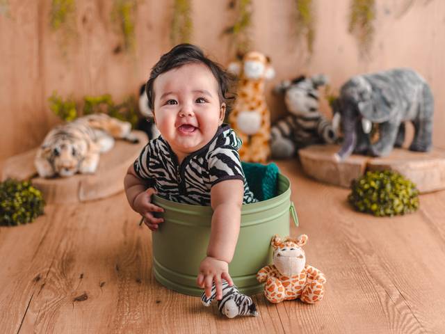 Acompanhamento Bebê de Joao Pedro - Acompanhemento 