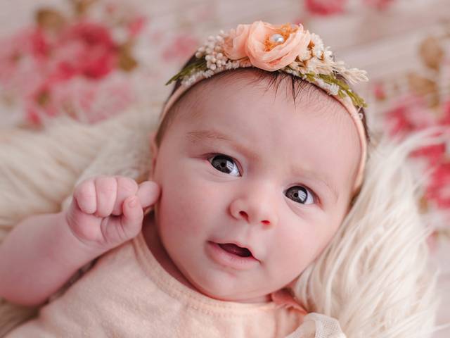 Acompanhamento Bebê de Sophia - Acompanhamento 