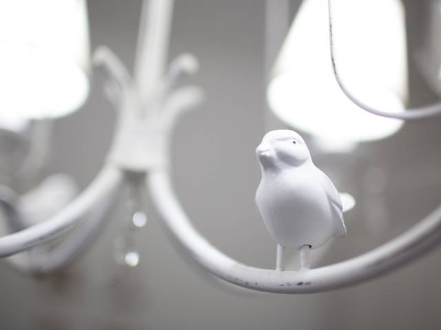 Pré mamã de Pré mamã - Angela e Marco