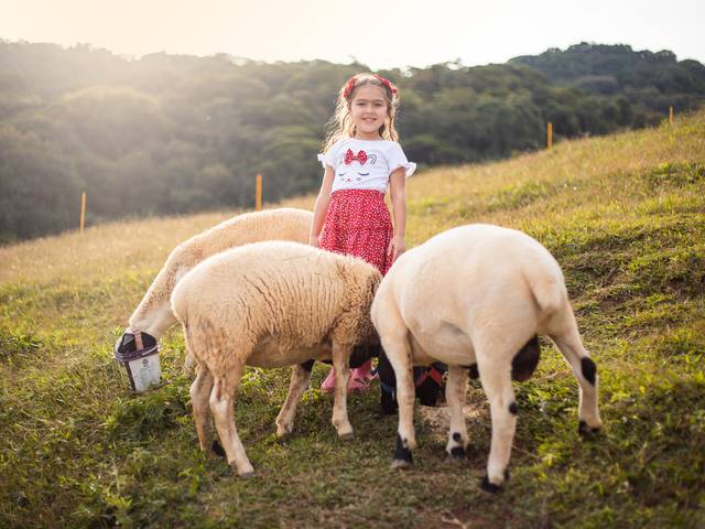 Infantil de Belly 5 anos