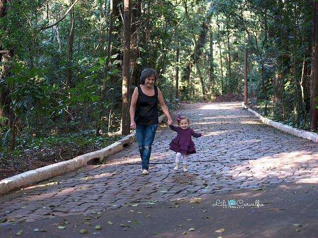 Sessões especiais  de Mini sessão dia dos avós!